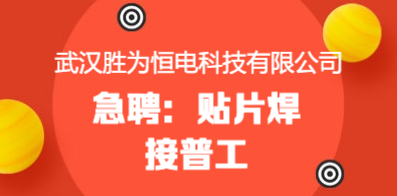 武汉人才网最新招聘动态深度解读与解析