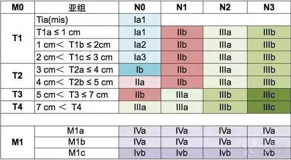 最新TNM分期标准，重塑肿瘤分期体系的核心所在