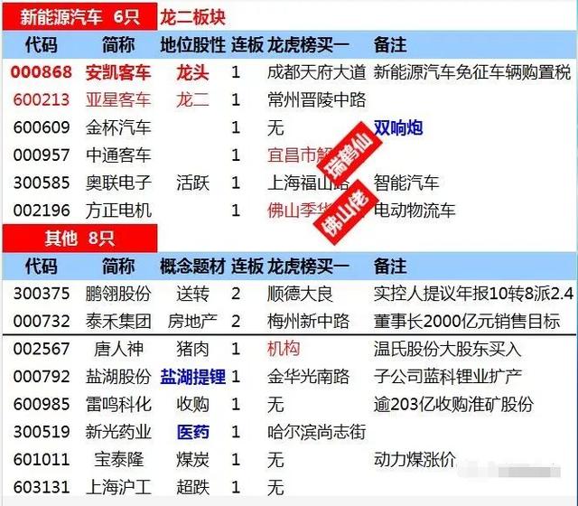 2024澳门特马今晚开什么,实地分析解释定义_铂金版76.733