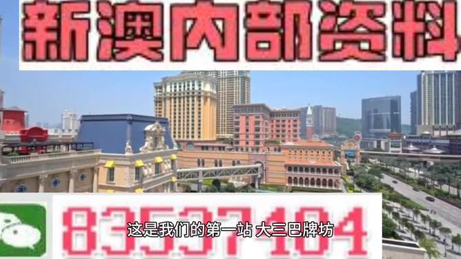 2024新澳门正版资料免费大全,福彩公益网,效率资料解释定义_PalmOS125.538