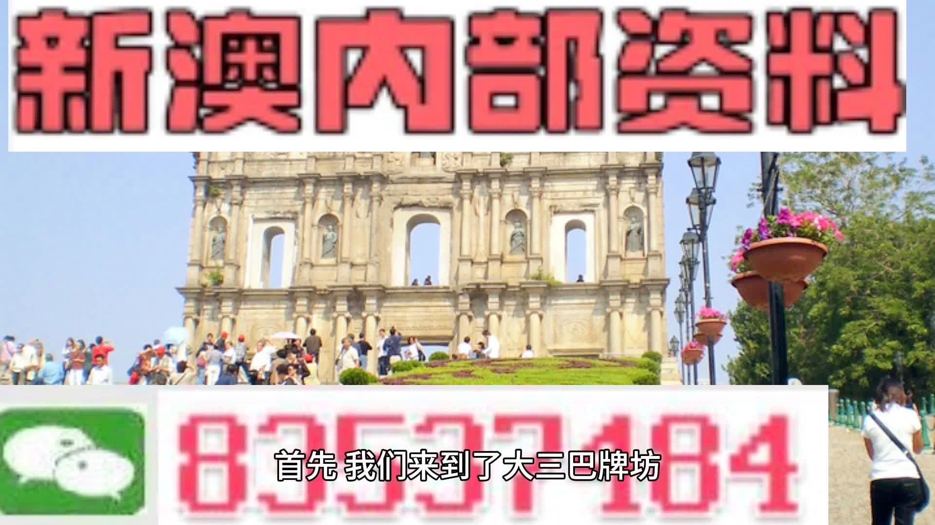 新澳2024正版资料免费公开,实地评估说明_优选版74.483