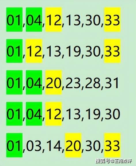 一肖一码100-准资料,实地数据评估执行_10DM91.328