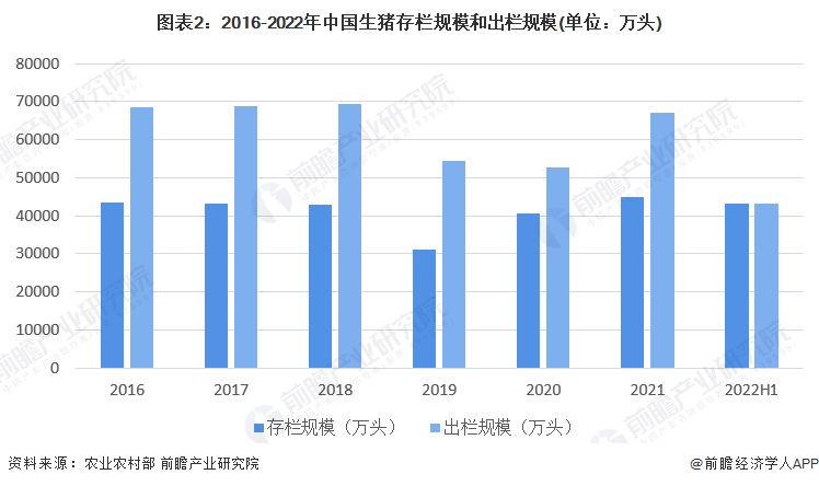 新奥今日开奖,数据导向执行策略_P版88.884