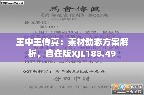 王中王72396.cσm.72326查询精选16码一,诠释解析落实_macOS48.866