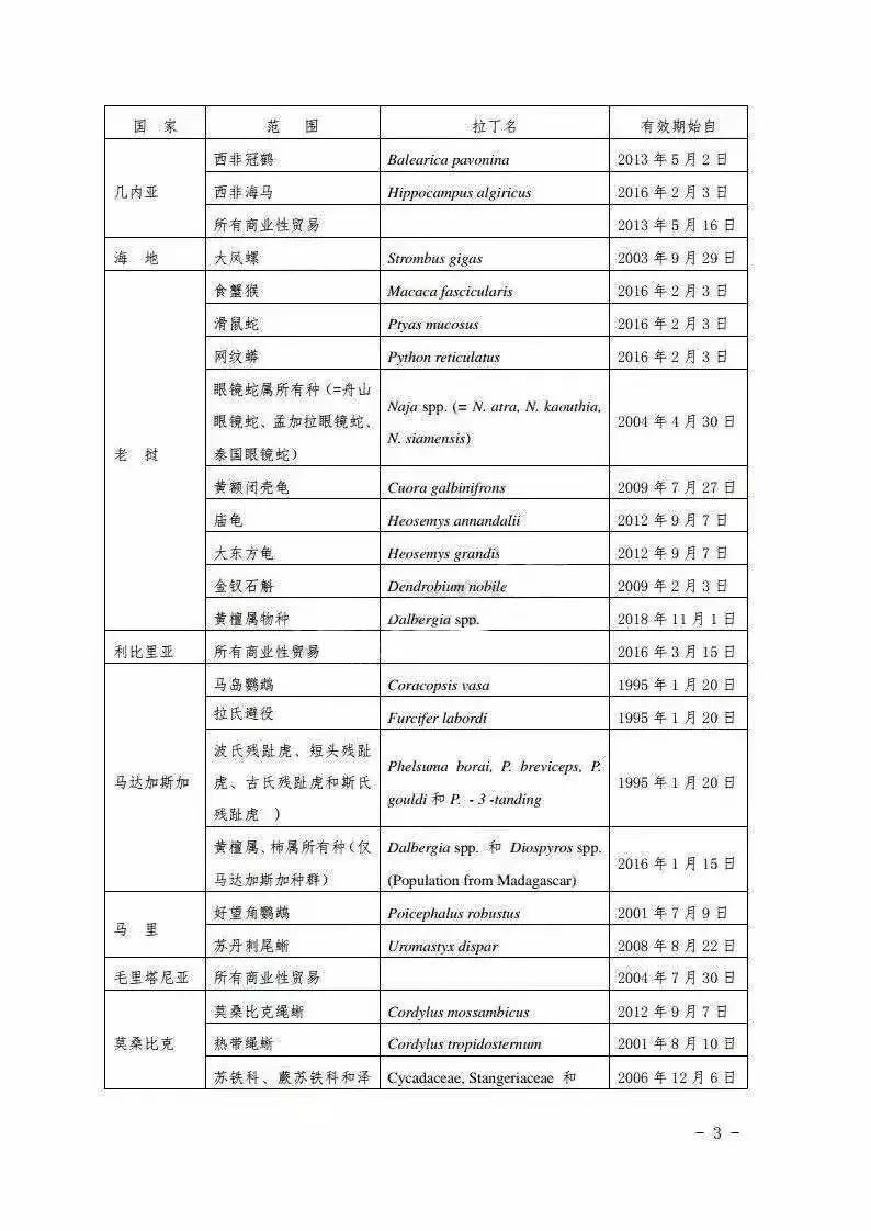 澳门正版内部资料大公开,专业说明评估_经典款57.695