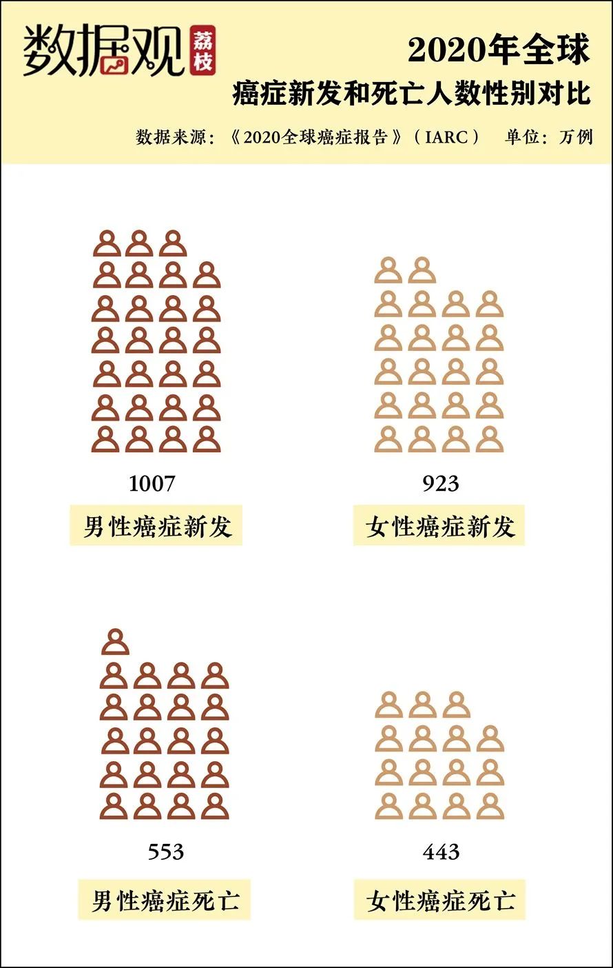 香港6合资料大全查,重要性方法解析_Z56.553