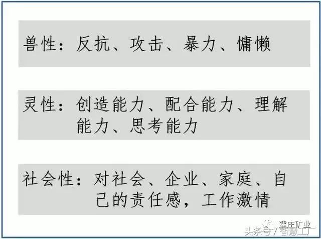 澳门特马,涵盖了广泛的解释落实方法_开发版19.24