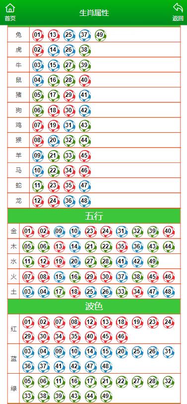 澳门六开彩2024生肖图,全面理解执行计划_模拟版62.245