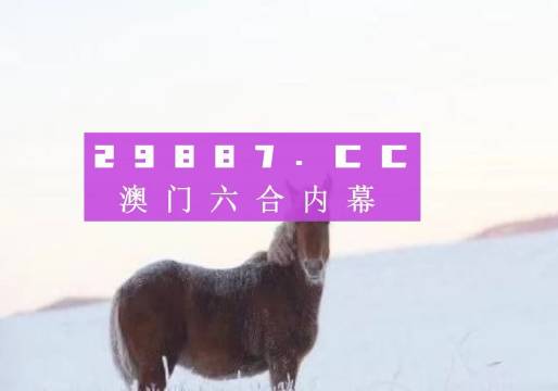 澳门王中王一肖一特一中,经济执行方案分析_BT22.815