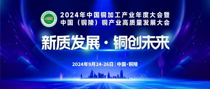 2024澳门最精准正版免费大全,高度协调策略执行_经典版91.914