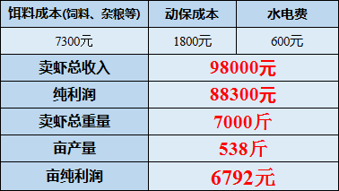 2024年12月 第55页