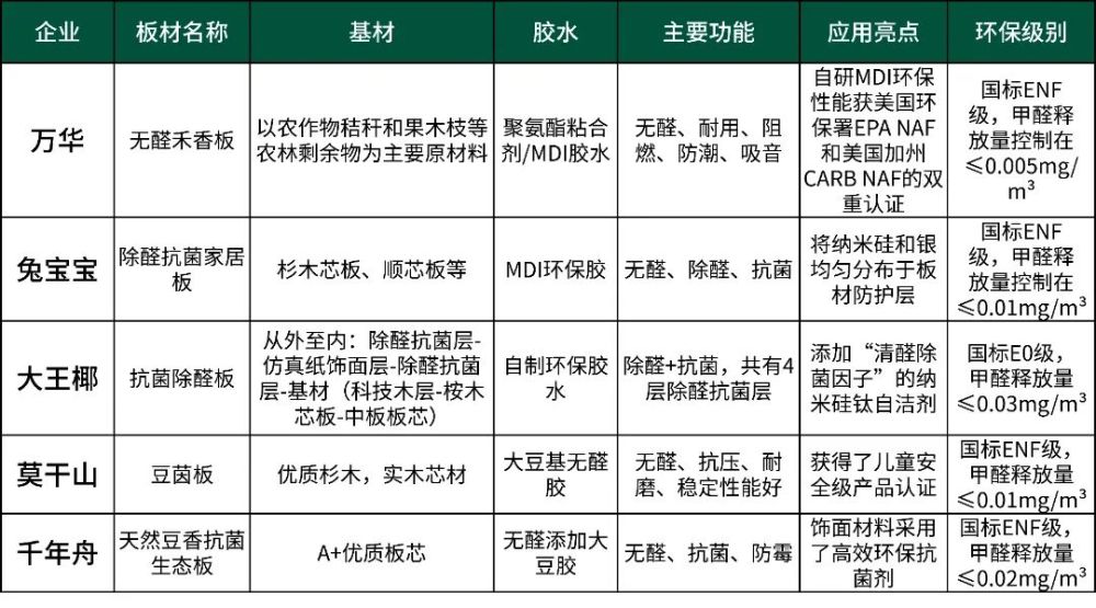 2024年12月11日 第5页