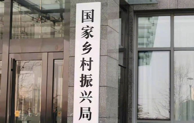 谢家梁村委会现代化交通新篇章开启，最新交通新闻概览