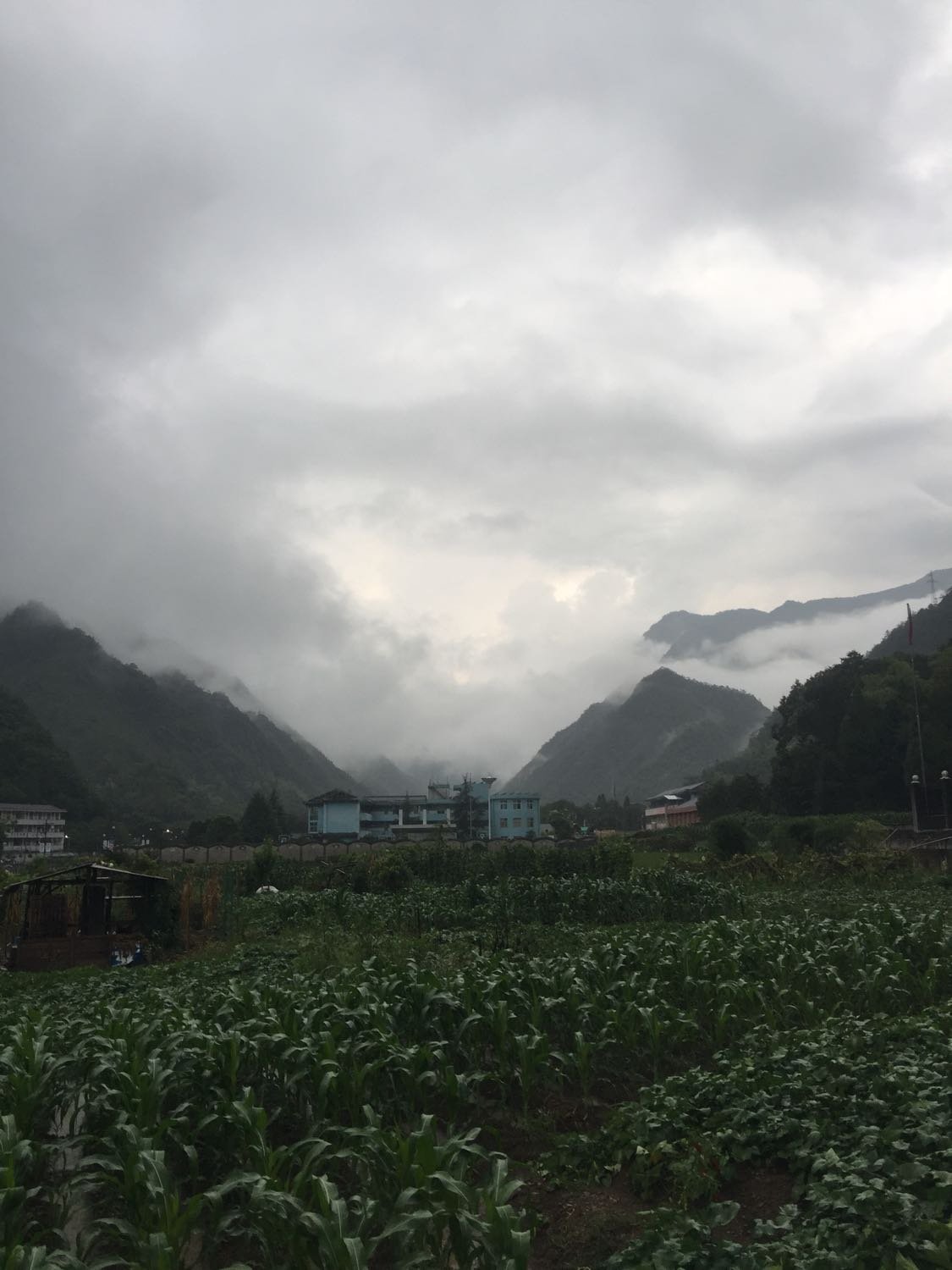 黎托乡天气预报更新通知