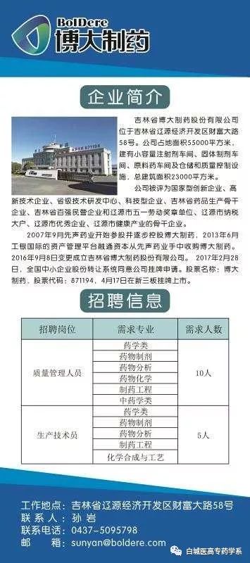 凌源市医疗保障局最新招聘公告详解