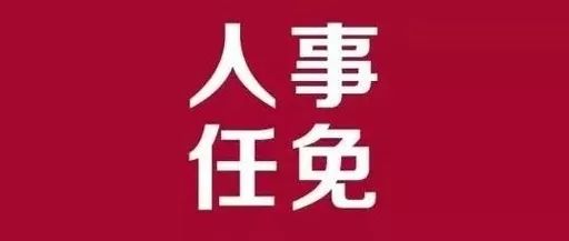 郊区审计局人事任命揭晓，新领导团队将带来哪些影响？