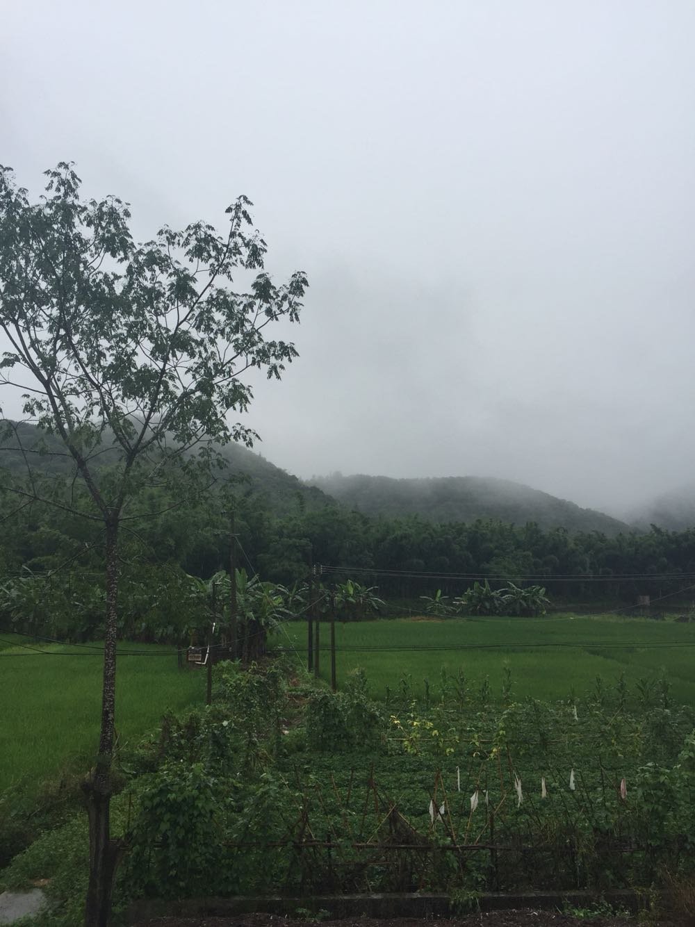 天井源乡天气预报更新通知