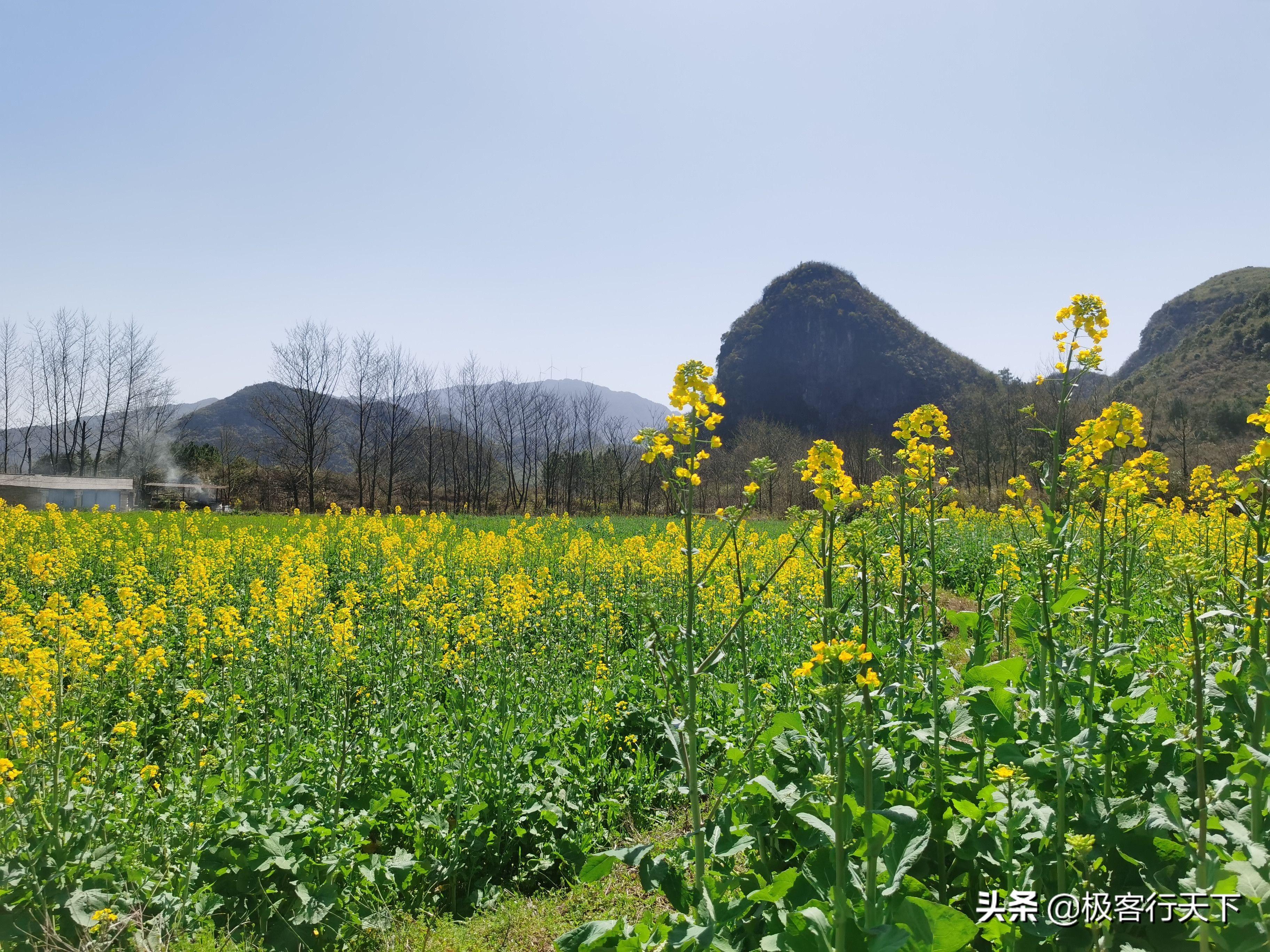 道县月岩林场领导团队最新阵容及战略领导策略