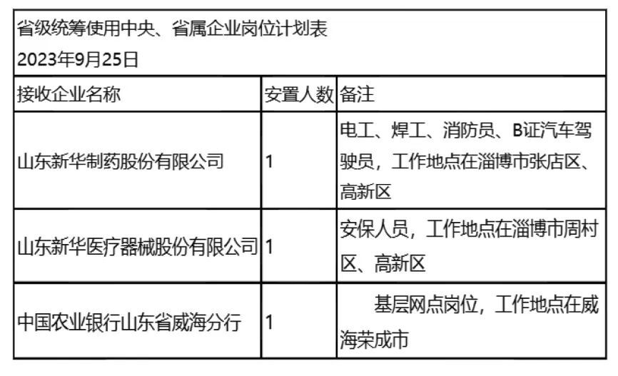 沂南县统计局最新招聘启事概览