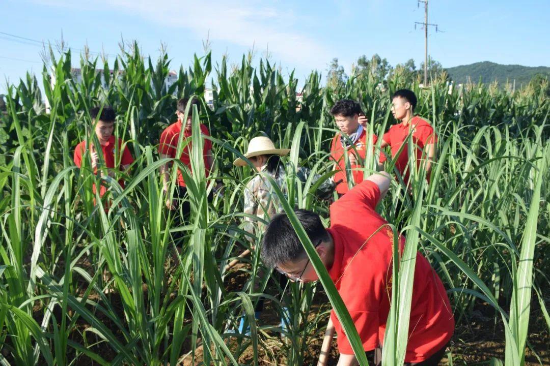 爱农乡现代化乡村交通网络打造最新进展报道