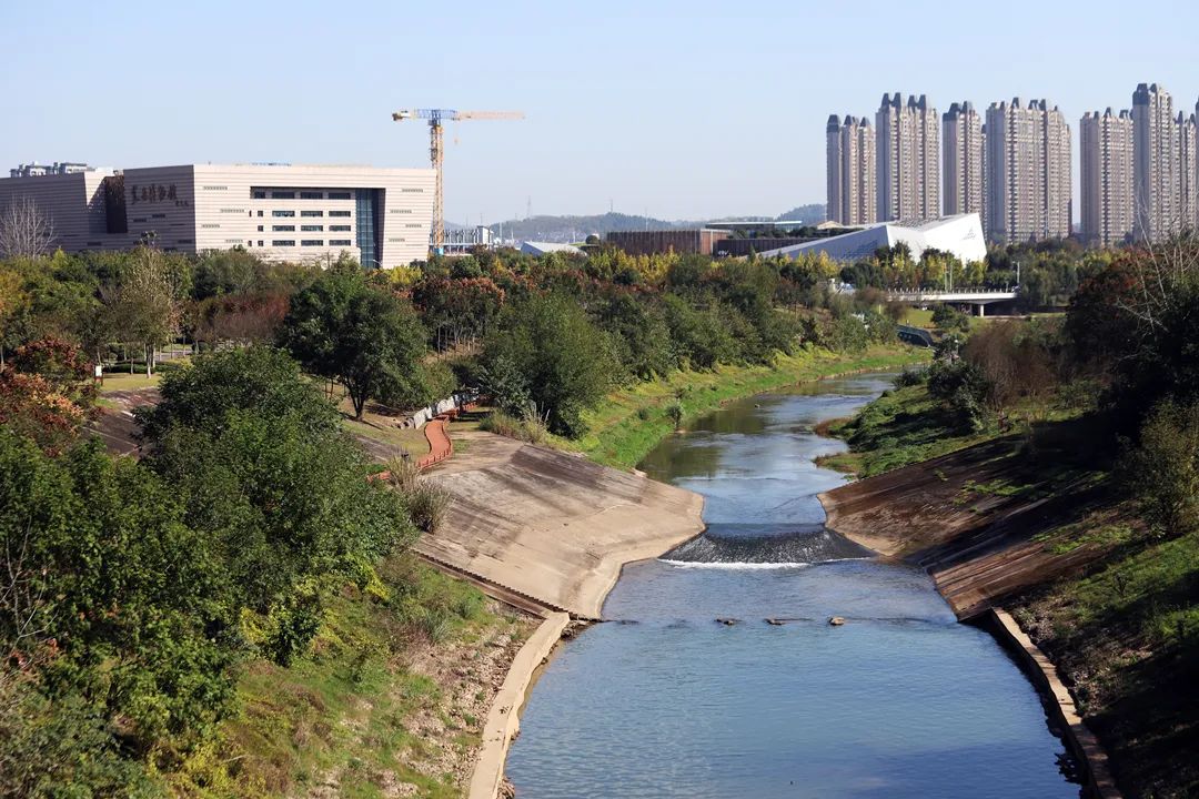 临河区水利局最新动态报道