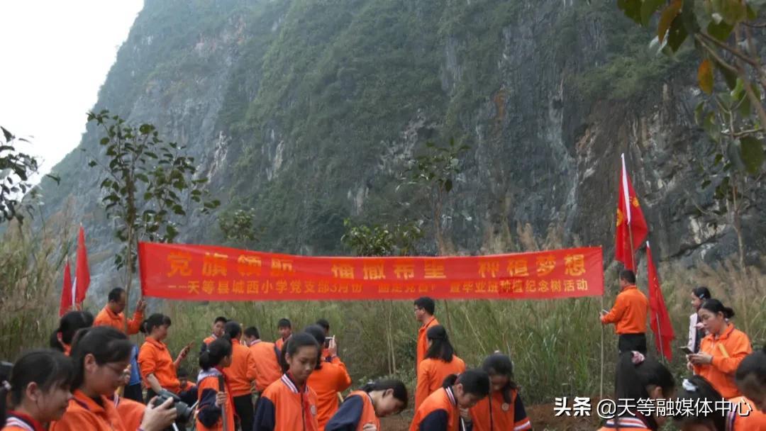 合山市小学未来教育蓝图，发展规划揭秘