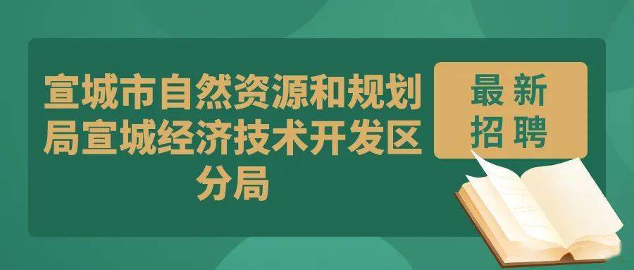 宜州市自然资源和规划局招聘启事