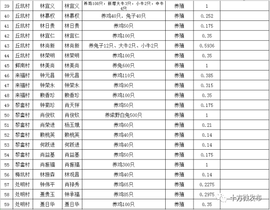 十方镇未来繁荣新篇章，最新发展规划揭秘