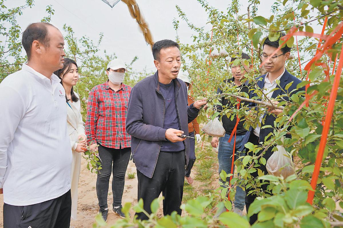 靖边县农业农村局最新动态报道