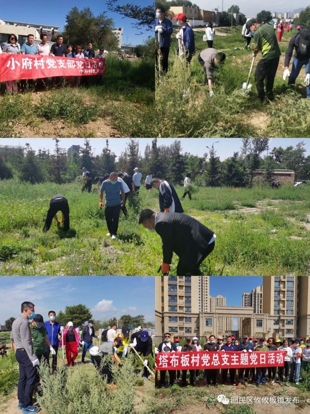 东区统计局最新项目揭秘，数据背后的故事浮出水面