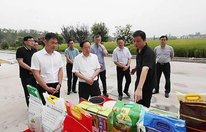 江都市审计局深化审计职能，助推城市发展新篇章启动