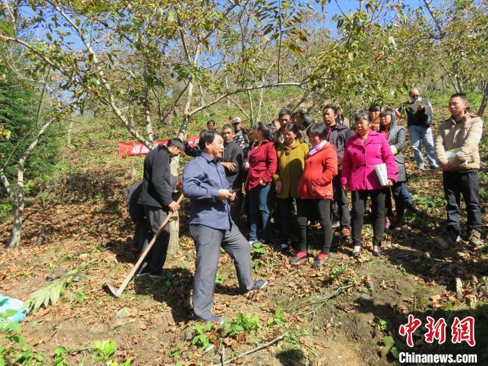 屏南县科技局领导团队全新亮相，前瞻领导引领未来创新之路