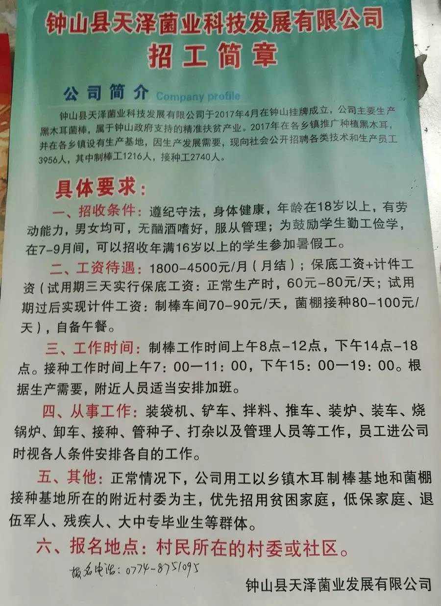 白英村最新招聘信息全面解析