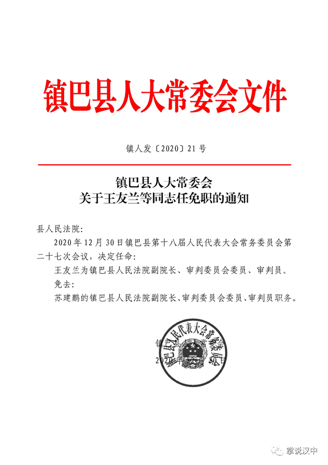 苍山县级托养福利事业单位人事任命揭晓及其深远影响